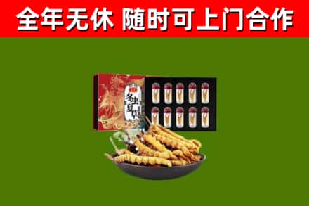 广安市回收冬虫夏草价格